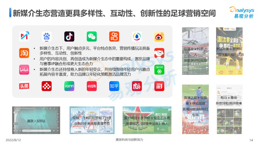 中国足球赛事预测,中国足球市场调查研究报告