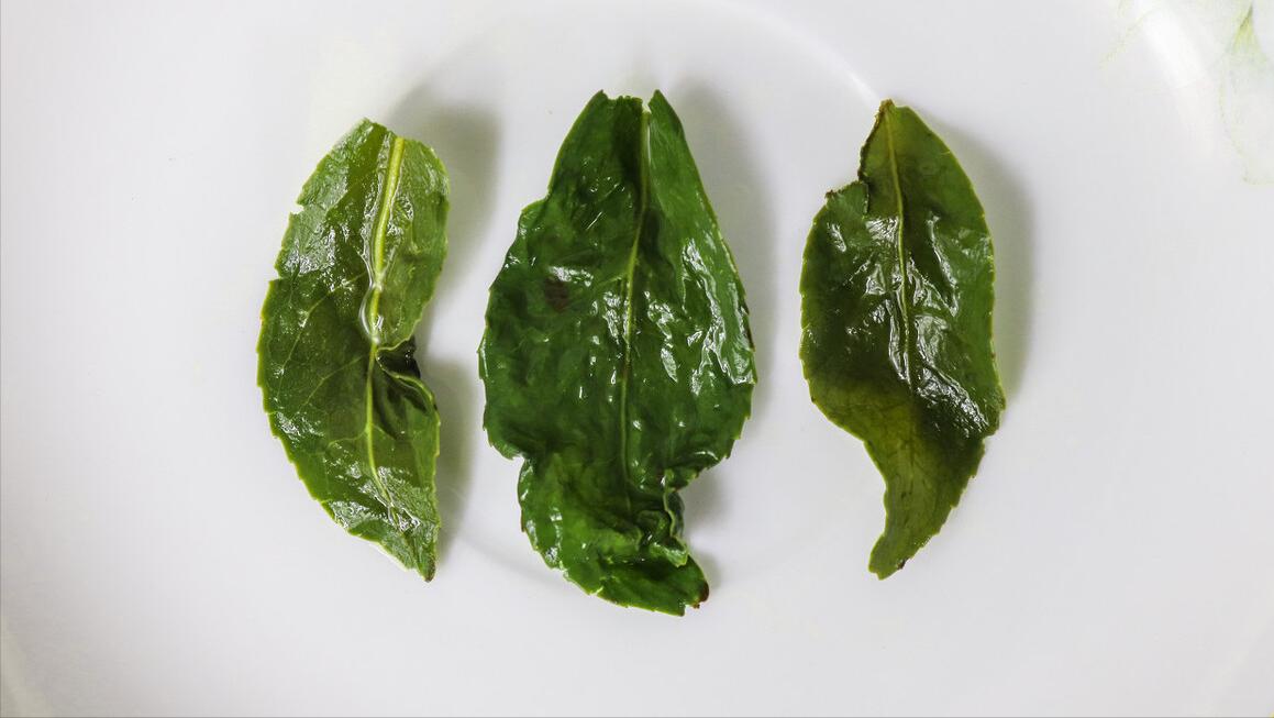 什么茶叶适合喝铁观音,十个铁观音茶叶知识小问答