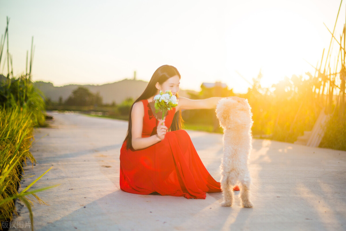 女子将宠物狗放进超市购物,女子带大型狗进超市后续