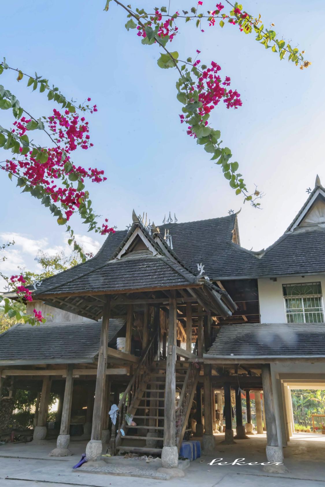 骂版纳是因为你没走出告庄玩版纳跟着小姐姐们走你才晓得味道