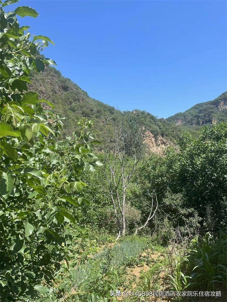 承德快活林农家院,承德农家乐和休闲农庄钓鱼