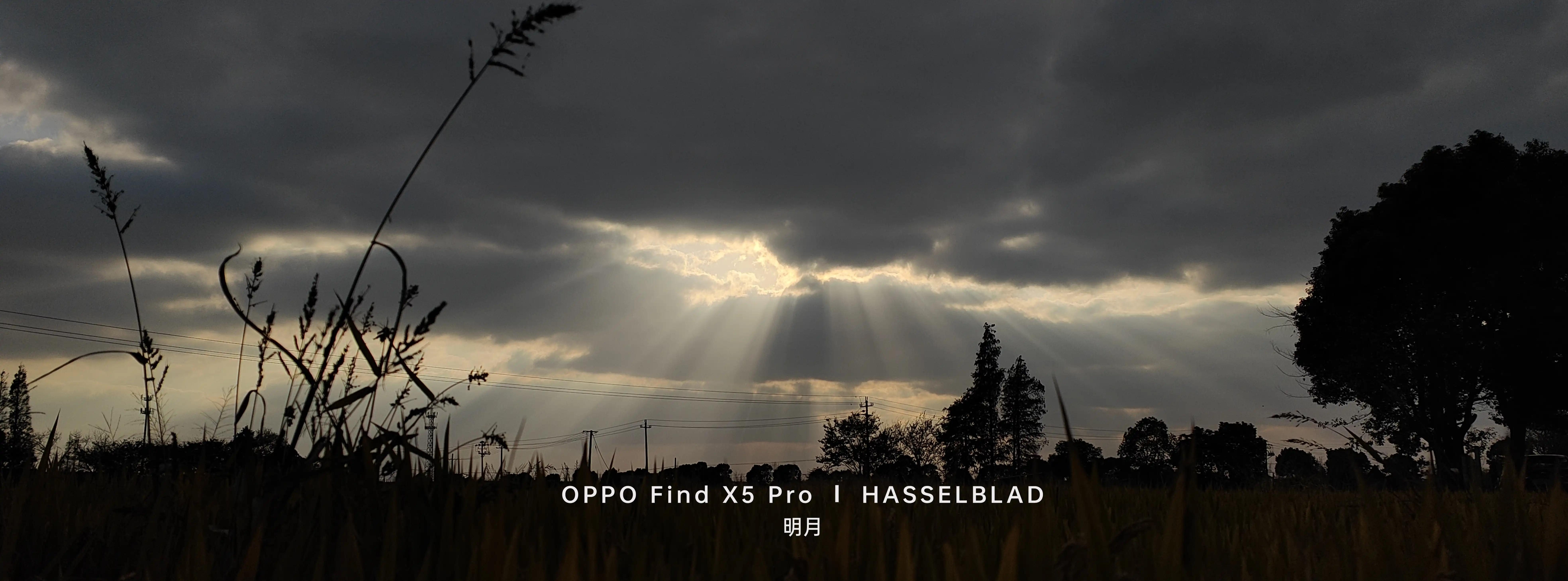 蓝绿厂为什么降价那么快,蓝绿厂为啥差距越来越大