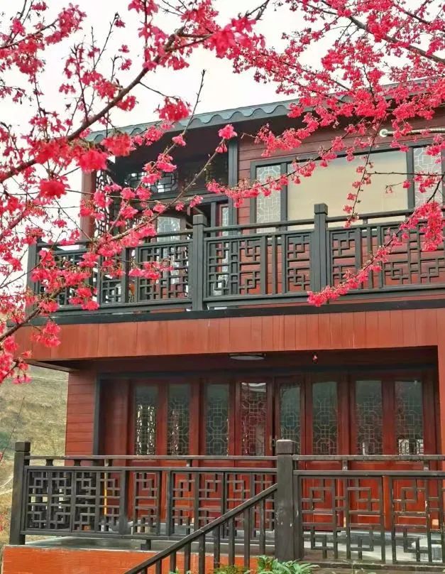 拍照好看民宿附近,拍照好看的民宿酒店