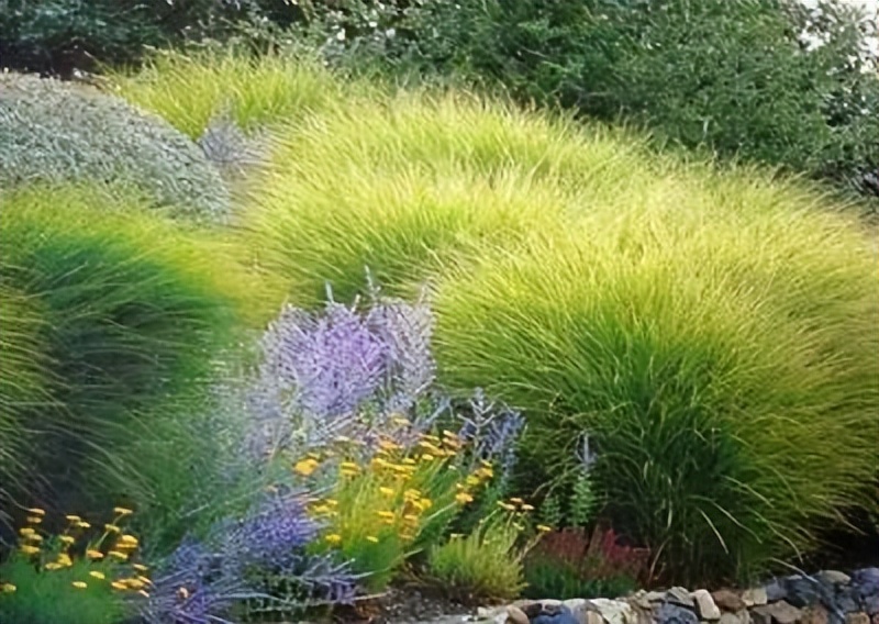 堪称神来之笔的十首诗词,100首绝妙的古诗词