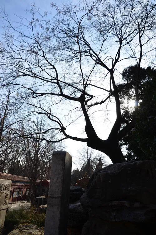 孤独的等待完整版,孤独的等待撕心裂肺