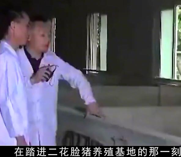 农民饲养天价猪种,中国养殖天价猪致富经