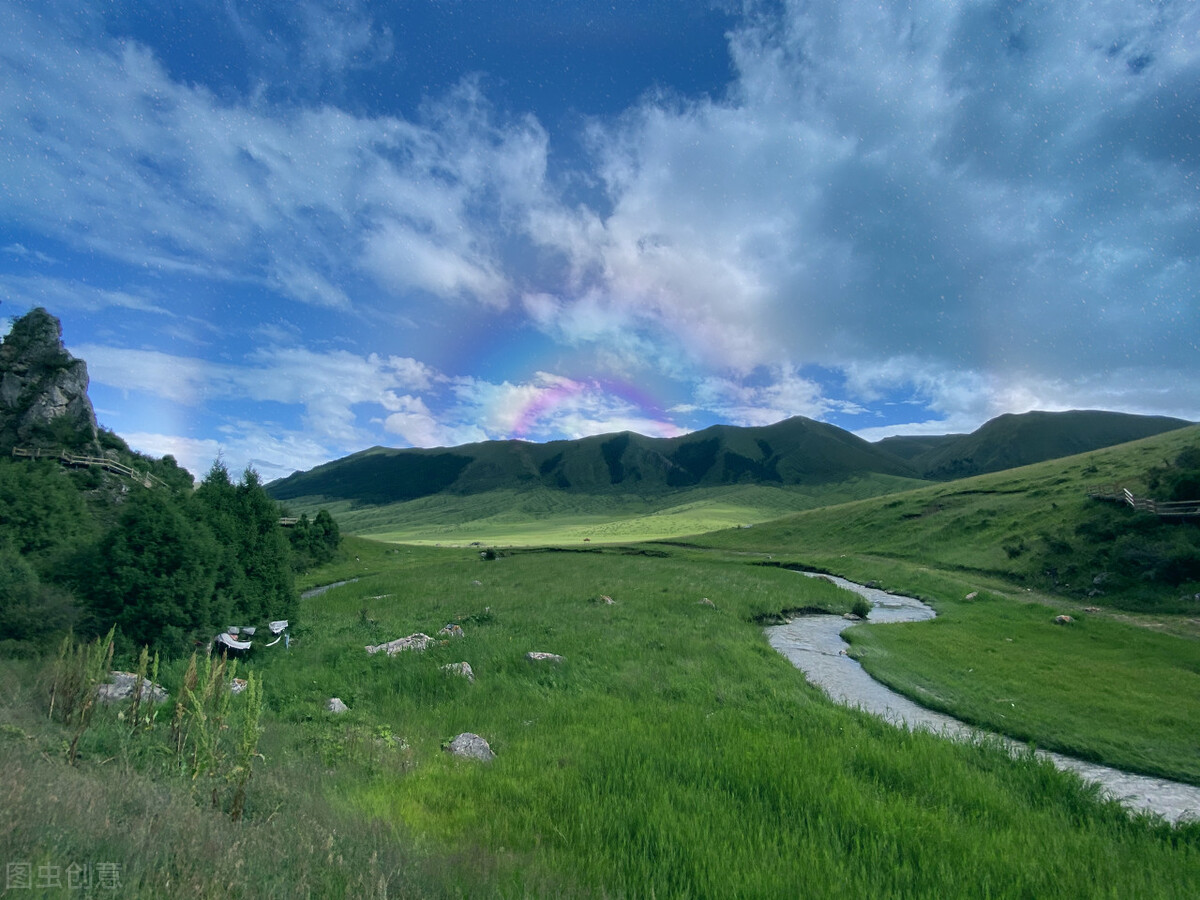 离离原上草一岁一枯荣的翻译,离离原上草一岁一枯荣诗句的意思