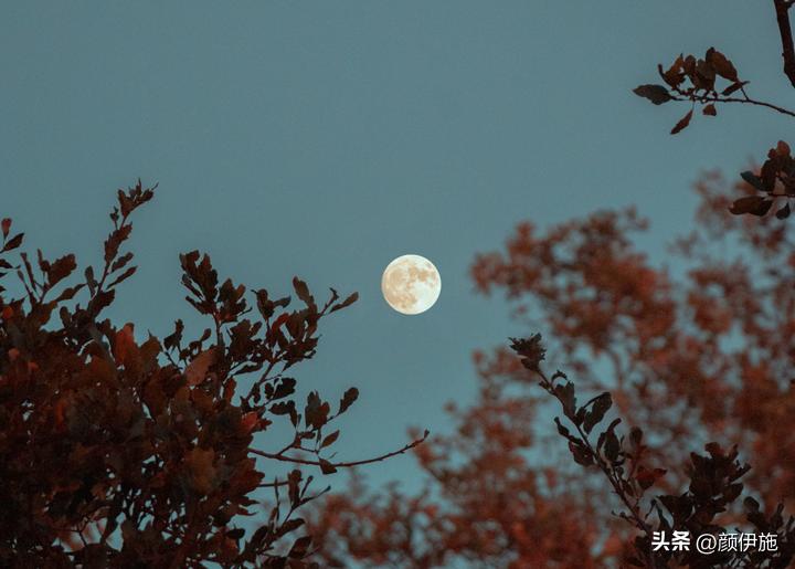 油性敏感皮肤怎么清理皮肤,皮肤敏感泛红如何清洁