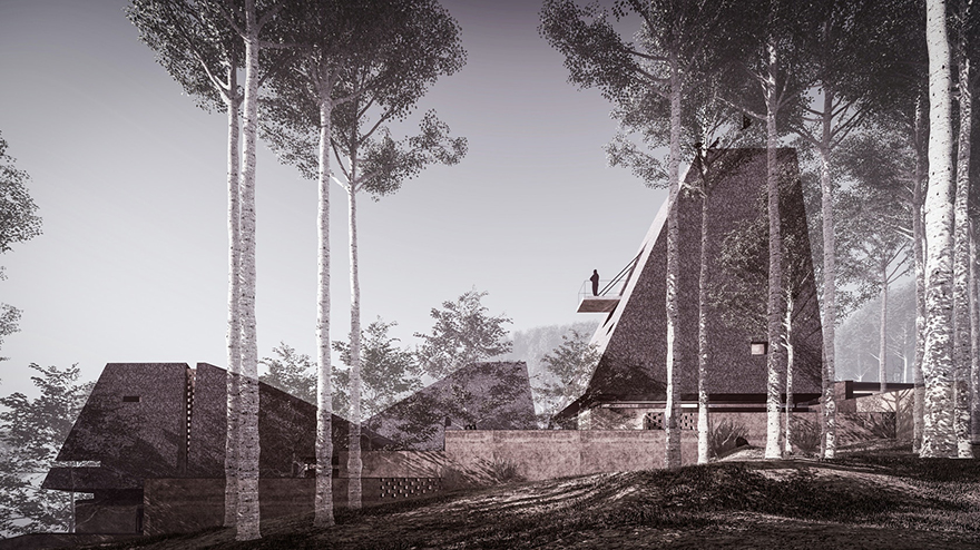 typology涓枃,typology