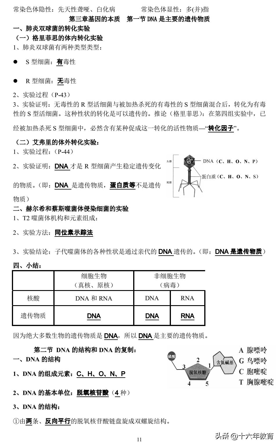 高一期末生物复习必备知识点,高考生物常考点总结