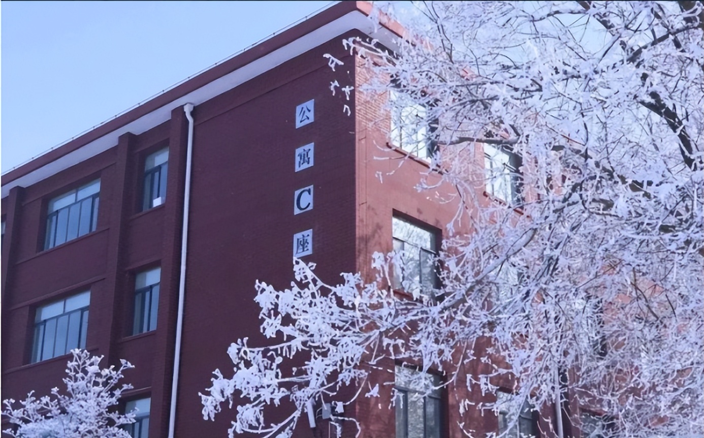 输入神奇代码1126，解锁北京这所高职的真实实力，启航精彩未来