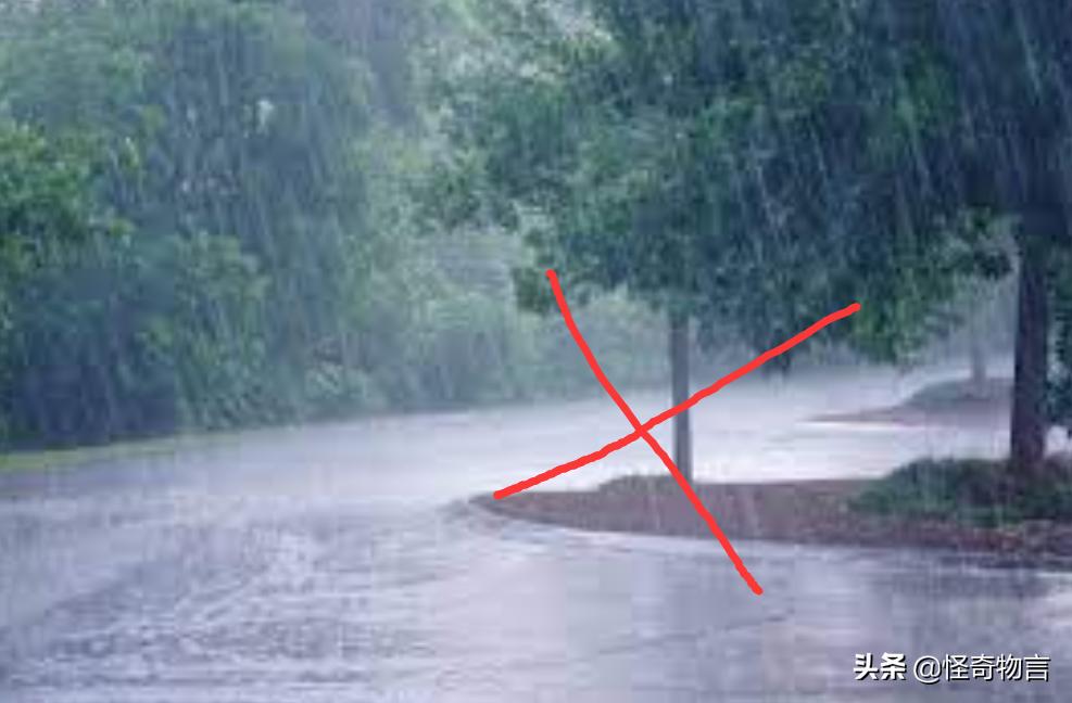 容易被闪电击中的情形,被闪电击中变傻的几率有多高