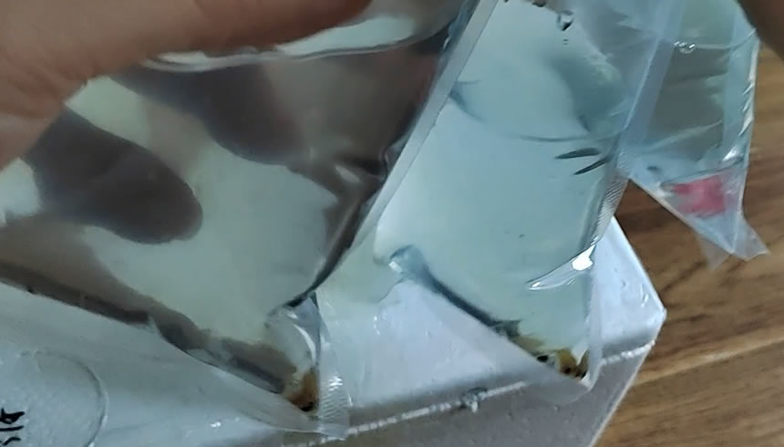 网上买的鱼如何预防死,网购鱼到家躺了怎么救