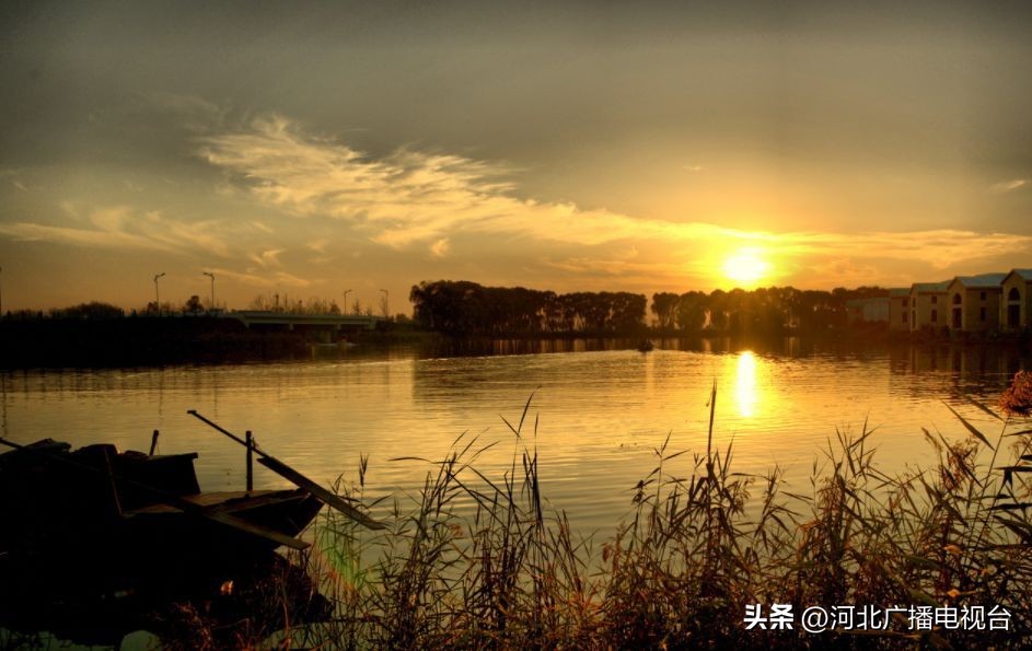 今日的白洋淀视频,现在白洋淀的情况