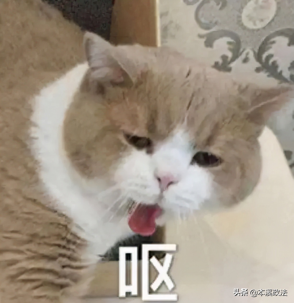 看完315晚会的感想,每晚315晚会有感