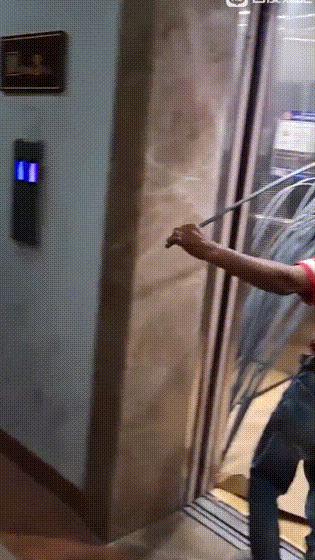 “性取向测试!”如果你看到的是一群人在游泳,那就再仔细看看