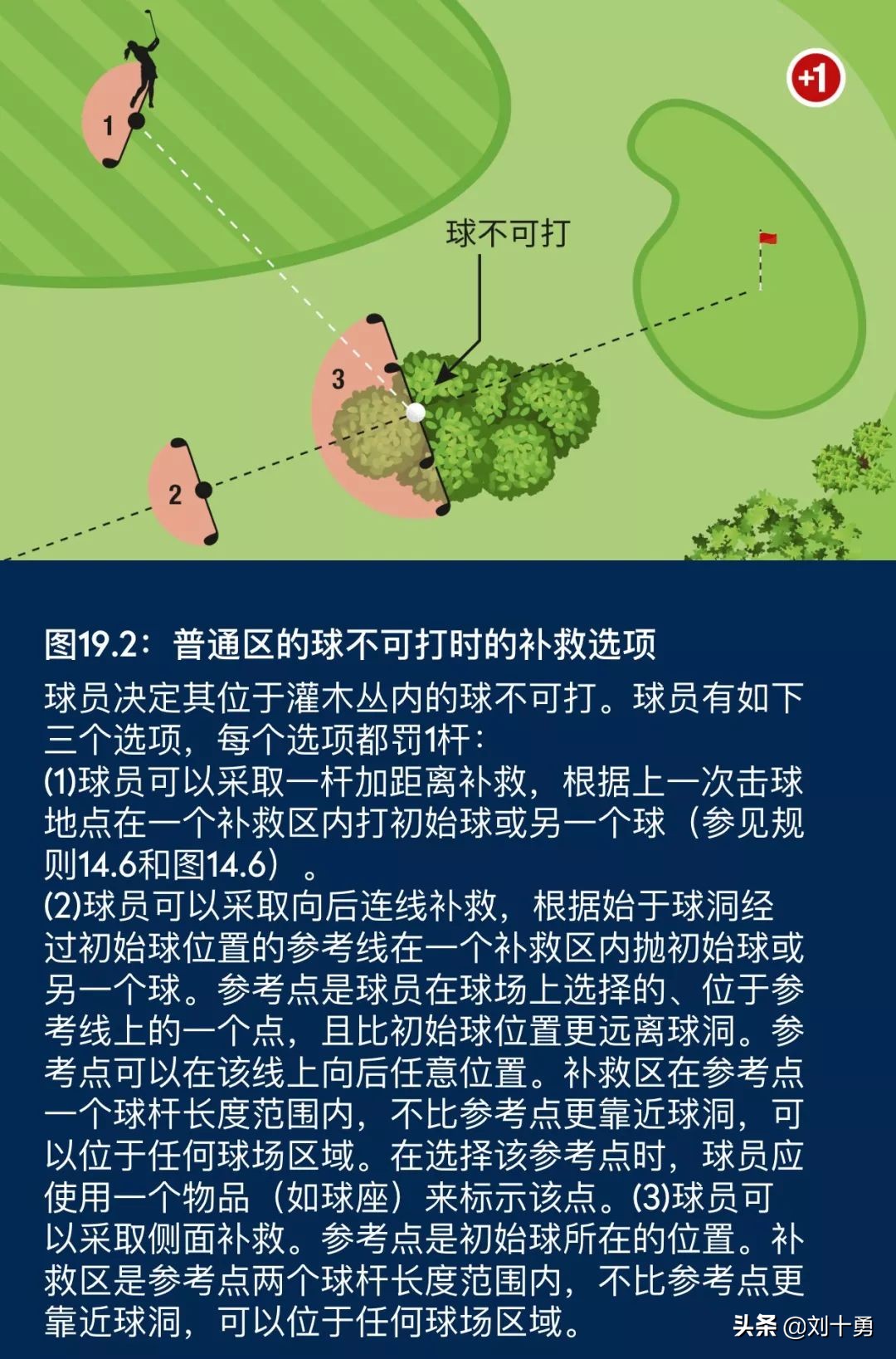 高尔夫球新规什么情况下可以动球,高尔夫球新规什么时候改的