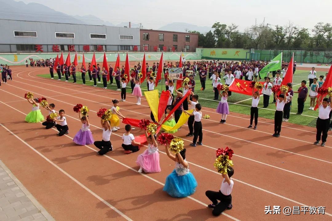 校园竞技体育的魅力,校园青春比赛