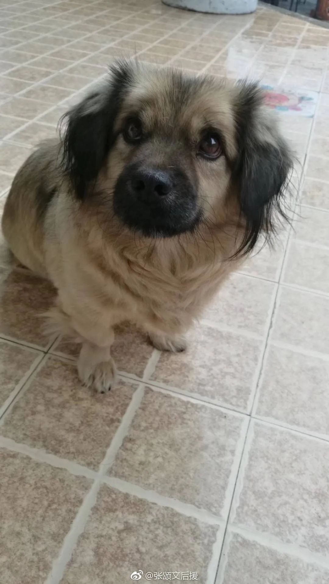 严查春节档电影互撕,春节档电影互撕