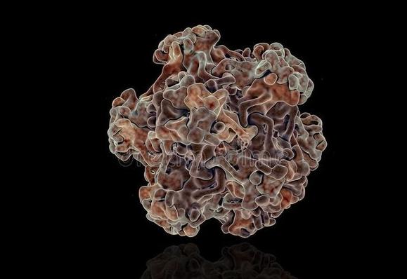 脖子上小肉粒可以揪下来,脖子上长的小肉粒自己揪掉可以吗