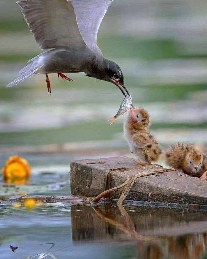 经济下半场十大趋势,未来十年经济研判