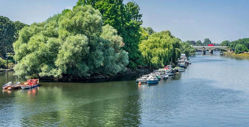 金斯顿居住感受,金斯顿富人区