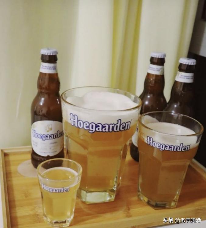 福佳白啤酒有多厉害,福佳白啤酒为啥是苦的