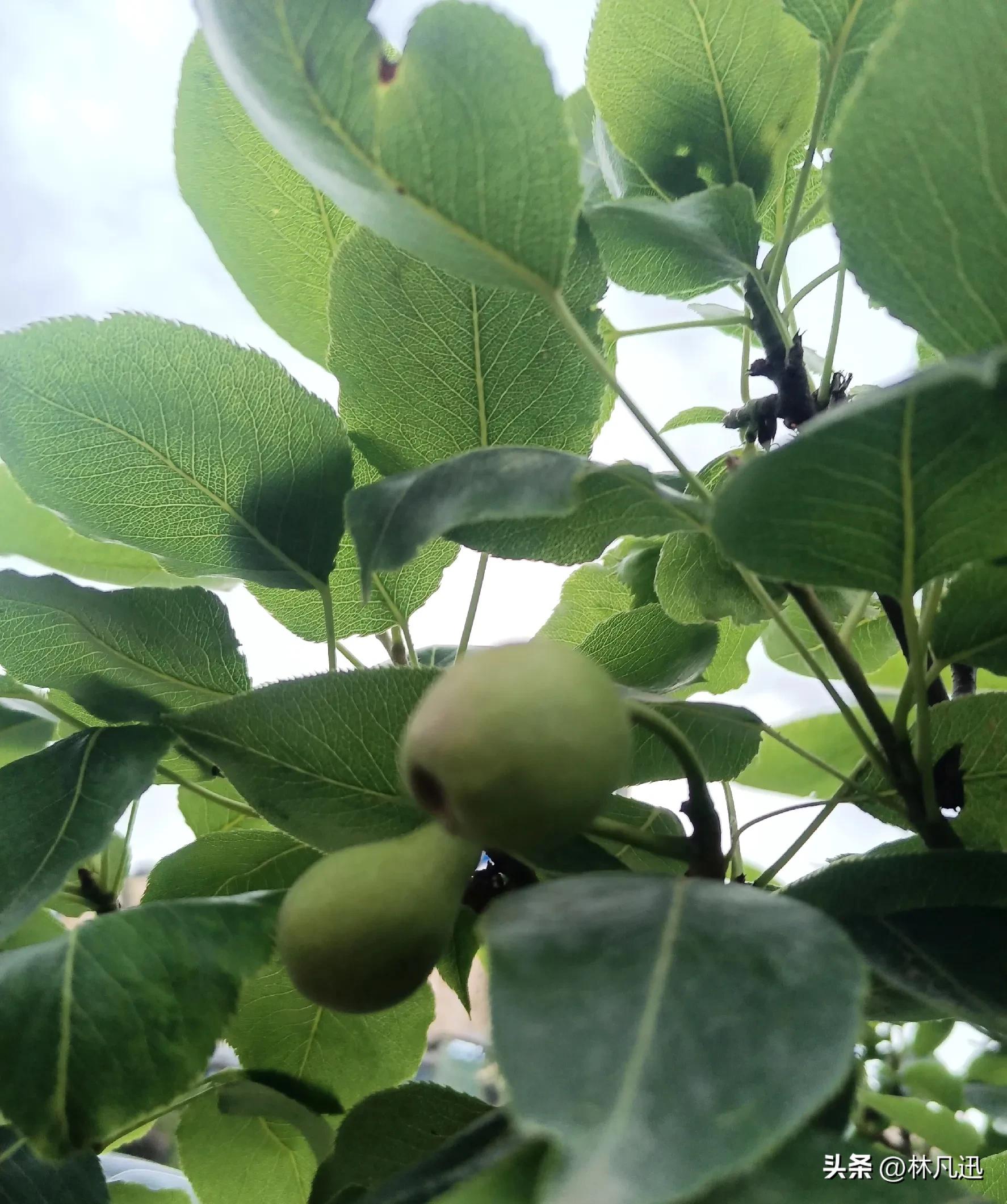 基金份额净值精度,基金份额随净值变动吗