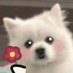 赵露思最爱穿的8家店铺，火到频频断货