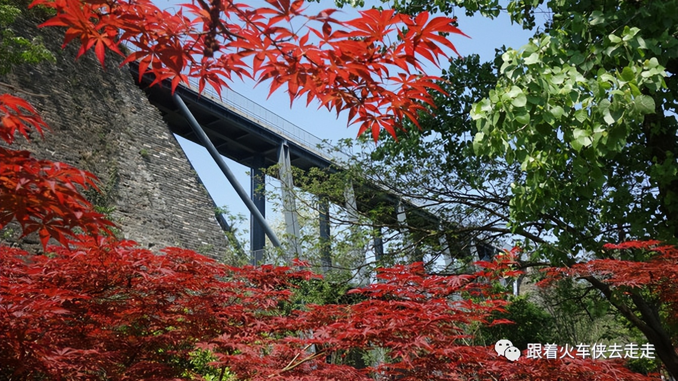 南京城墙下的琵琶湖,南京旅游先看城墙还是先看玄武湖