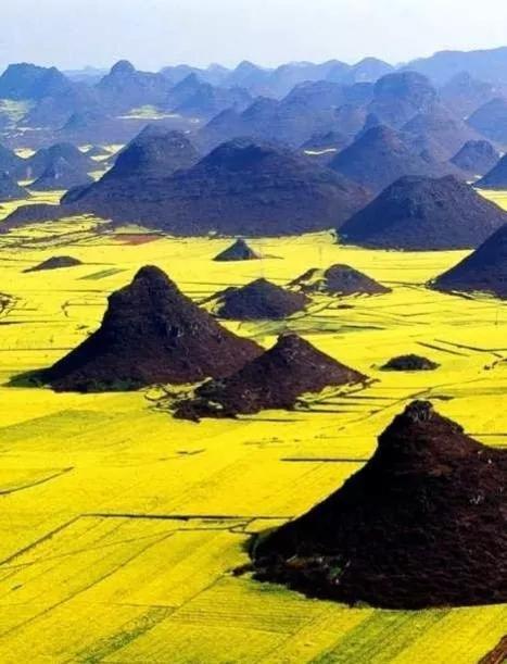 春风吹拂大地一片生机,春风吹拂生机盎然