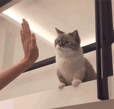 天津主城区有多少小学,天津一共有几个中学