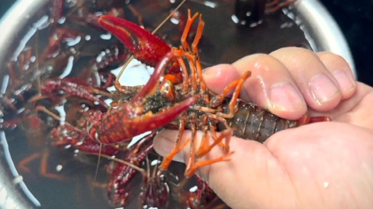 怎么做小龙虾比较入味好吃,怎么做小龙虾既入味又弹