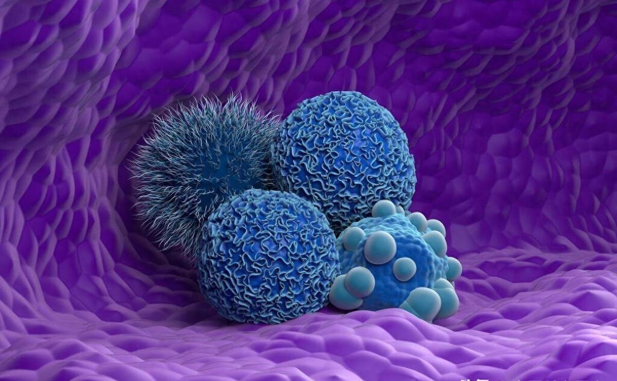 乔布斯抗癌8年状态,乔布斯抗癌8年花多少钱