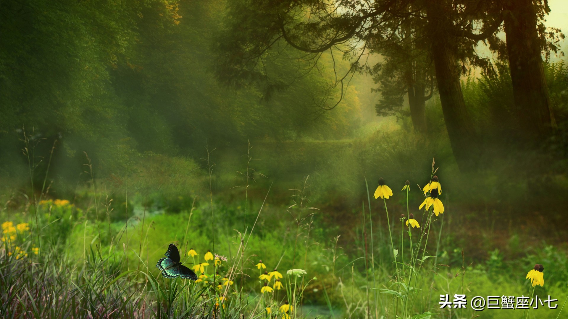 唯一能让双子座幸福的星座,最值得双子座珍惜的三个星座