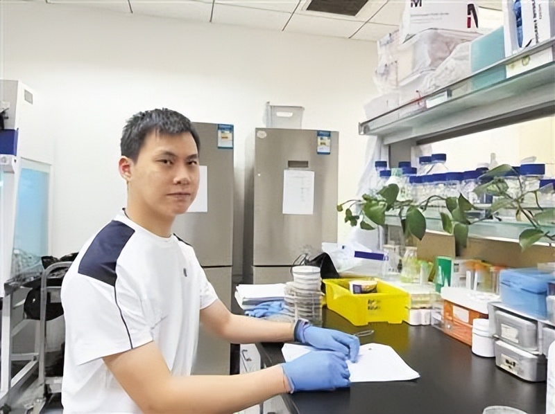 科研助理硕士就业前景,科研助理未来规划