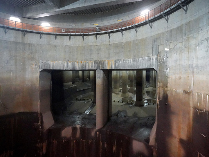 日本埼玉县一周游玩规划,日本埼玉好玩的地方