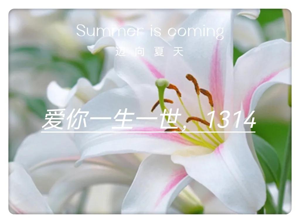 网络情人节520还是世界陌生人节,又是一年一度的520情人节