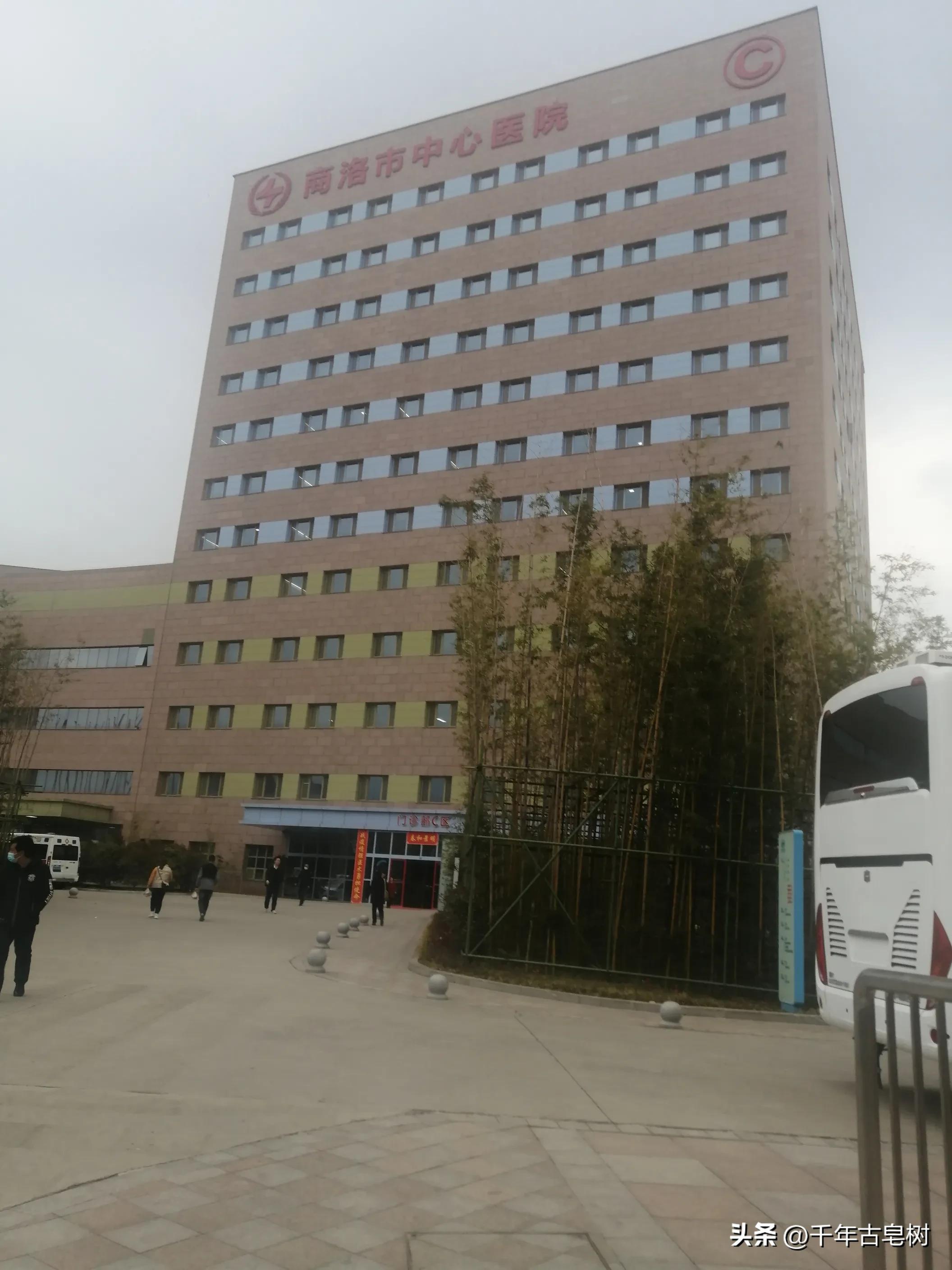 桃花在春雨中含笑翠竹在微风中舞蹈（腰市：李增强）