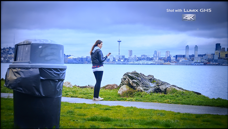 创维守护者65,创维守护者75寸