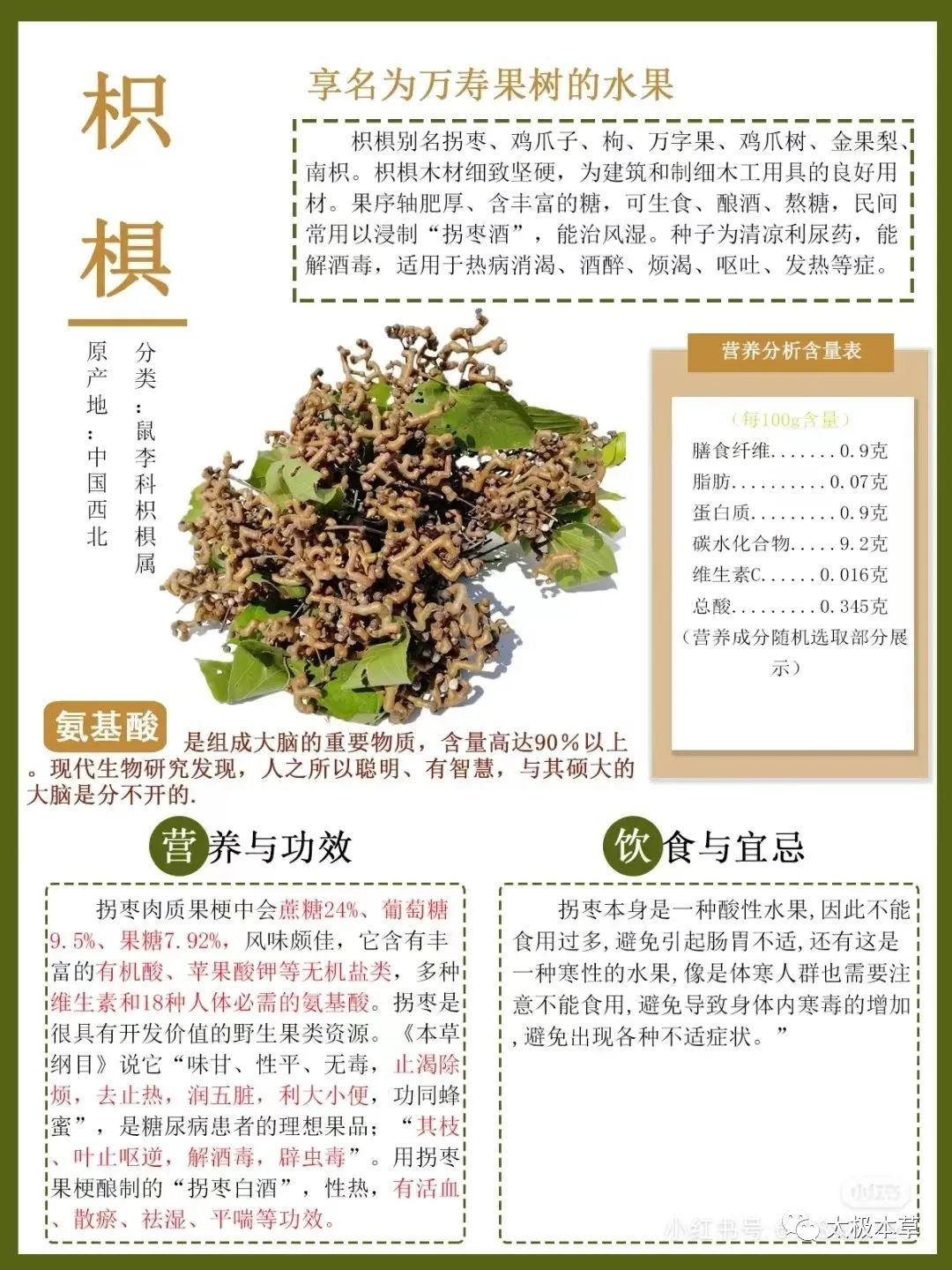 枳椇子的解酒功效,解酒药枳椇子怎么使用