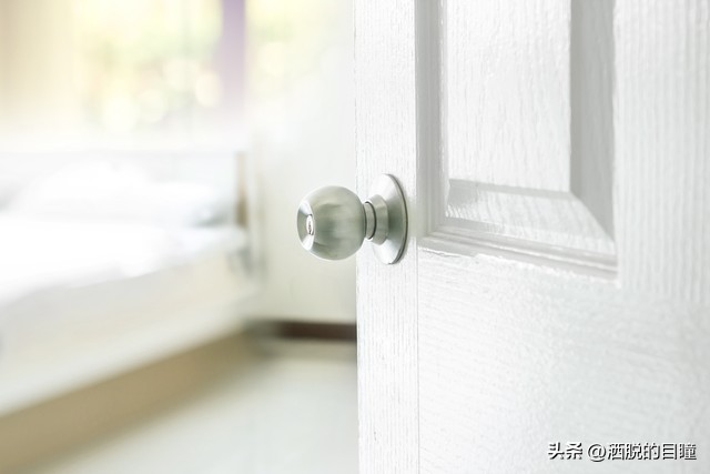 我的老婆是大佬3舒淇,我的老婆是女帝