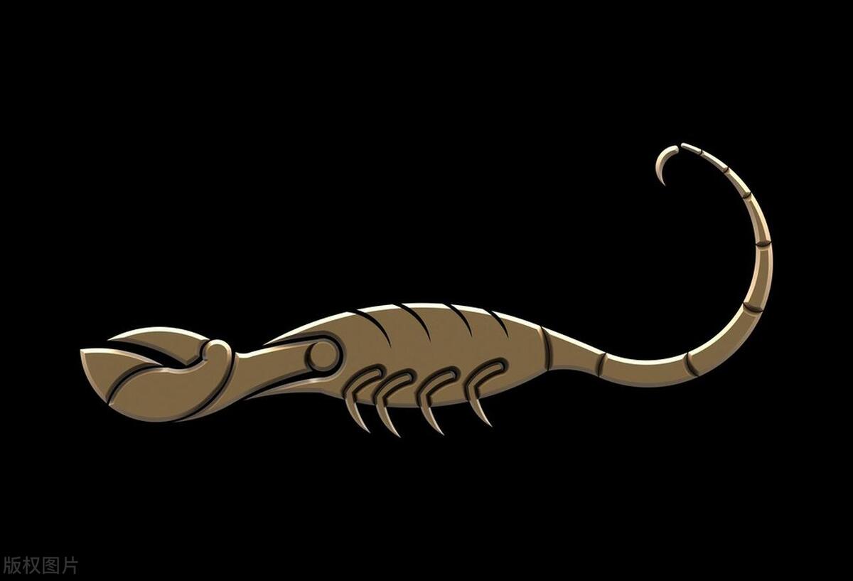 天蝎座2023年运势完整版,天蝎座本周每日运势详解