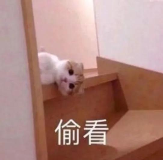 为什么掐着猫后脖子猫就不会动,为什么掐住猫咪的脖子后就不动了