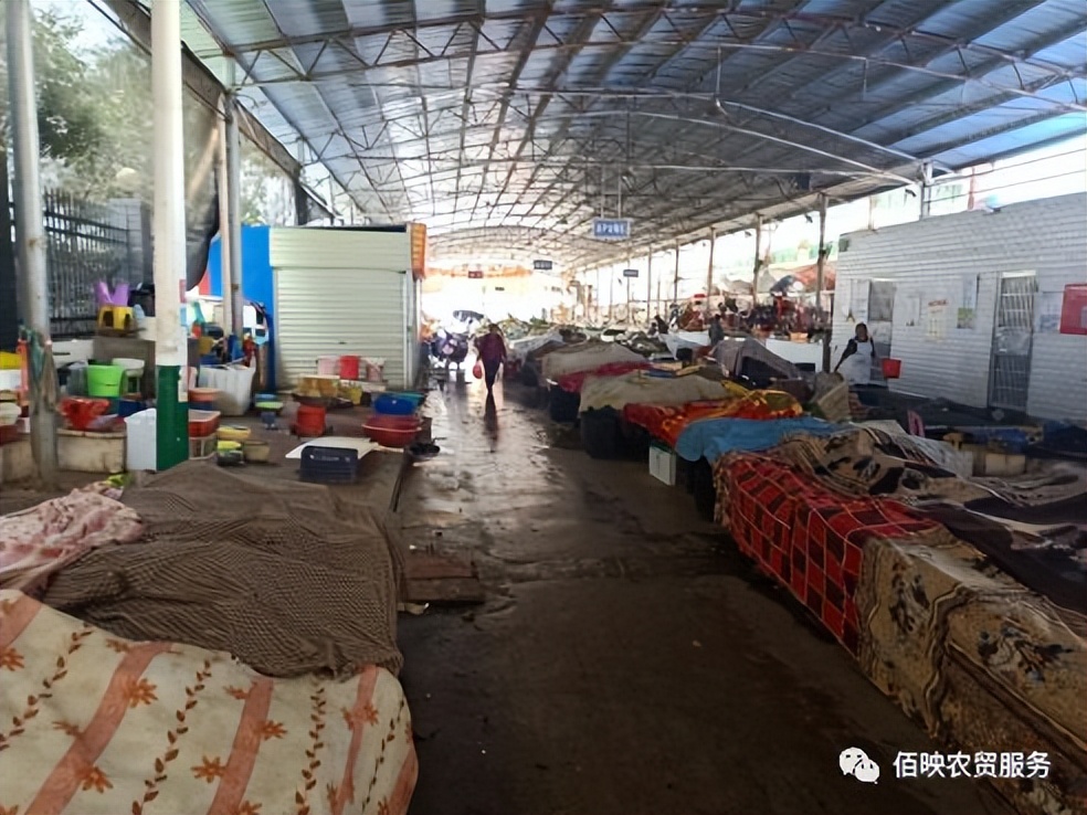 杭州一鸿农贸市场设计,农贸市场效果图设计哪家好