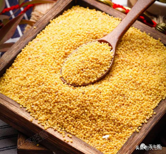 廿四节气纪录片秋分,廿四节气之立夏