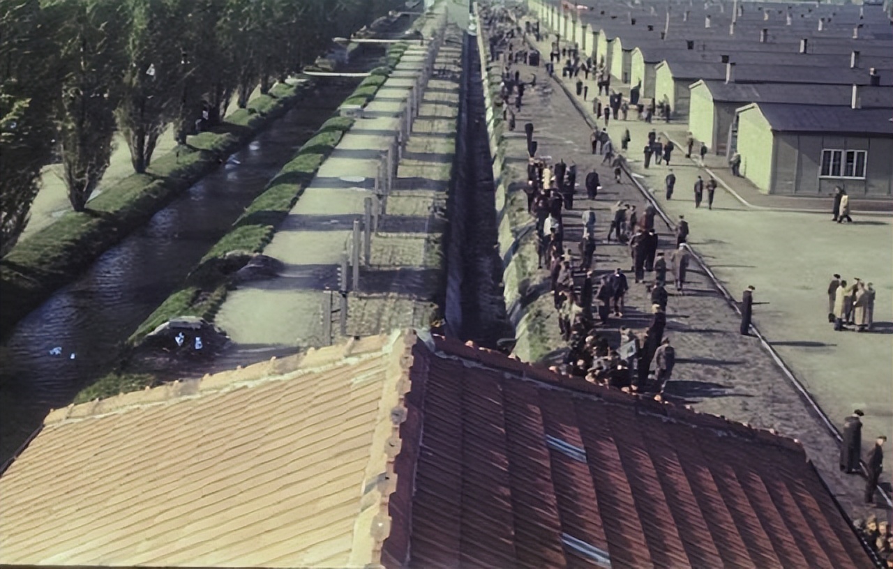 纳粹时期希特勒残害的对象都有谁？大*杀屠**的受害者只有犹太人吗？