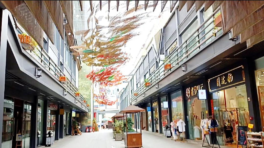 成都九龙荷花池批发市场,成都荷花池批发市场攻略