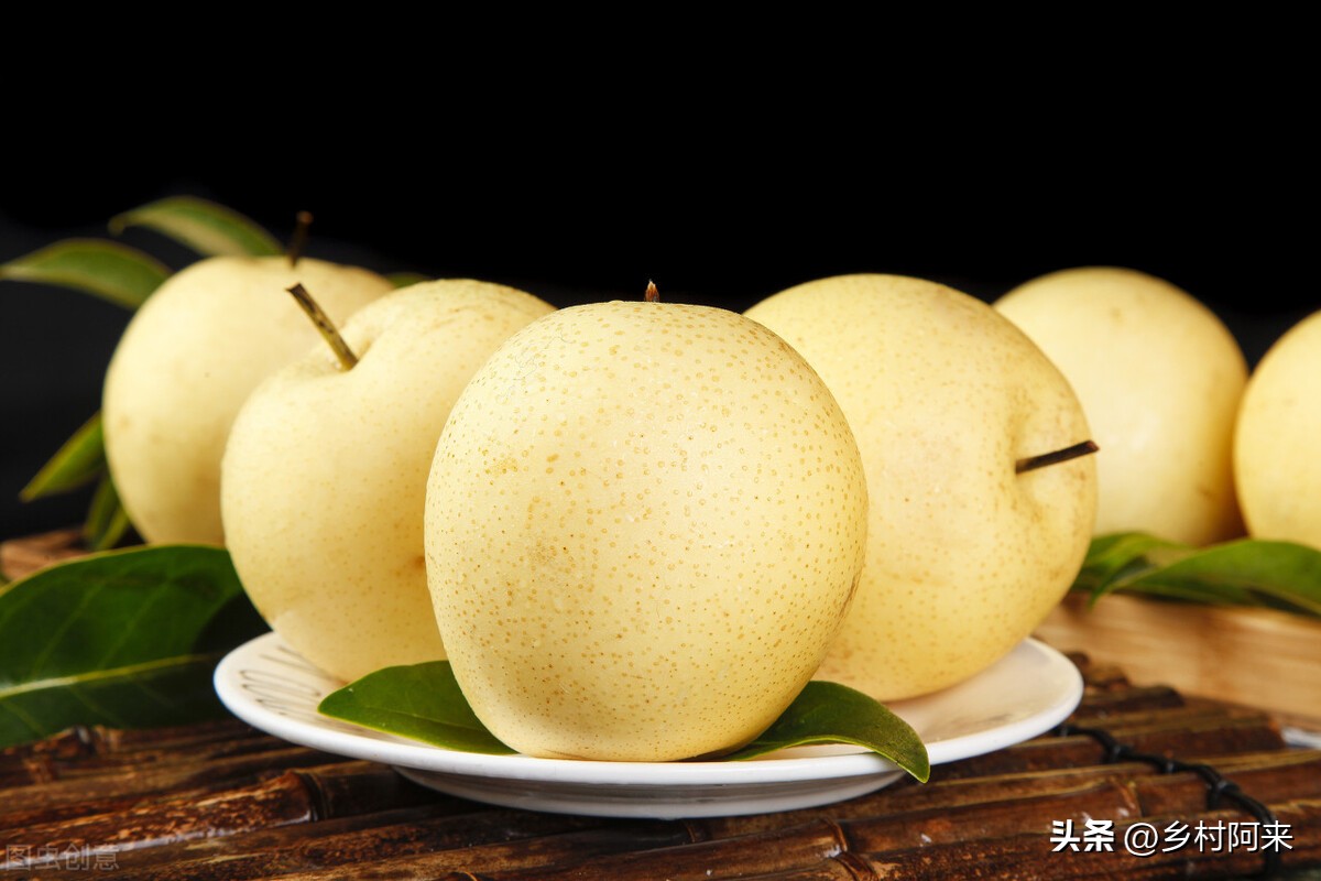 梨农村品种,农村最常见的梨子品种