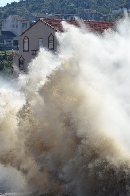 从中华传统文化中汲取智慧的事实,从古人的智慧里你学到什么
